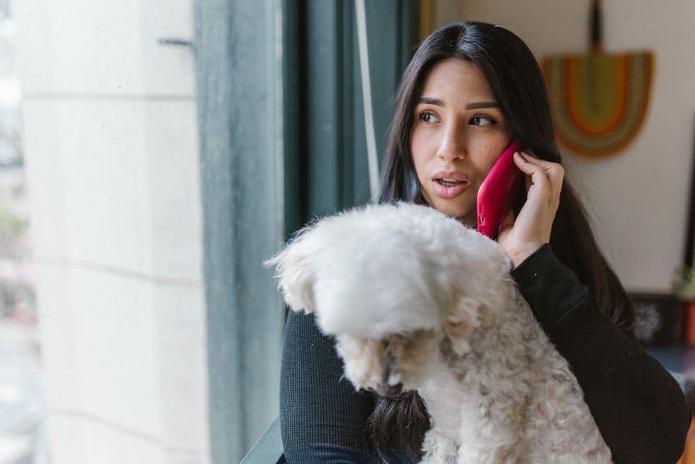 Comparación Huawei P20 Lite y Motorola One Vision: cámara, rendimiento y diseño