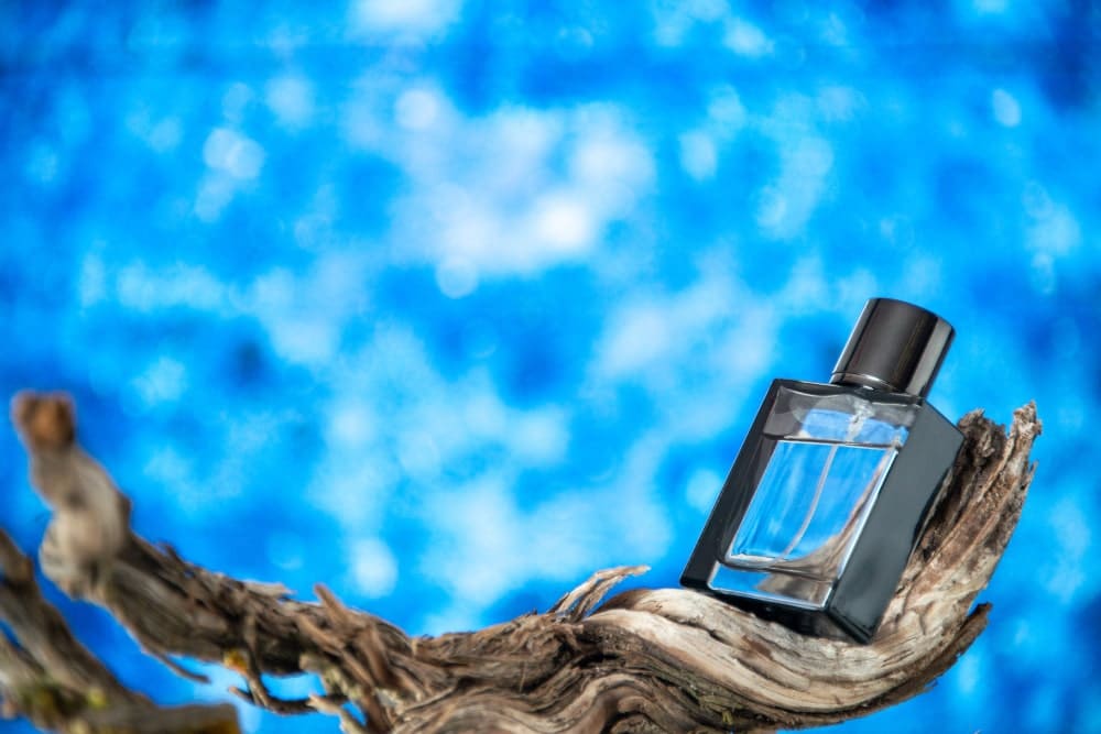 Perfumes de hombre destacados