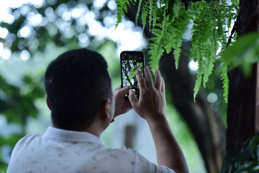 Fotografía de smartphone en exteriores